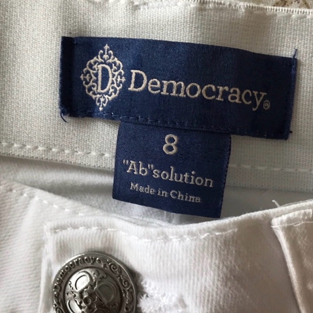 Democracy “Ab”solution - Picture 4 of 5